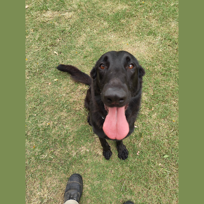 Photo of Nyla