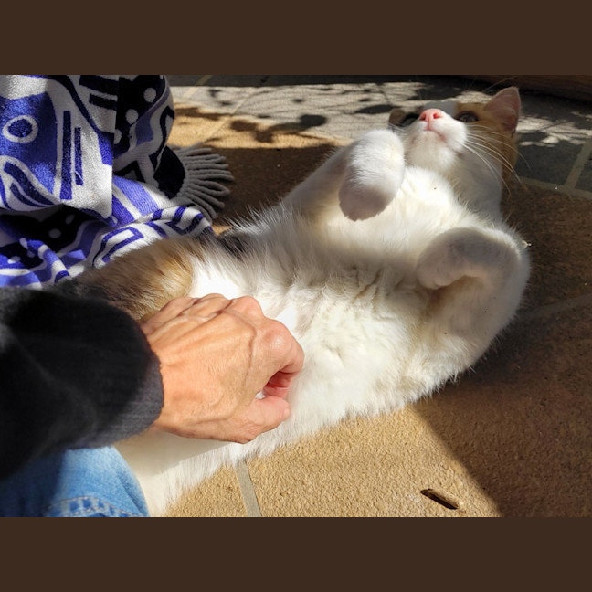 Photo of Maggie