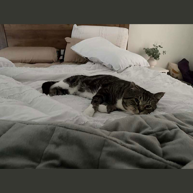 Photo of Toby