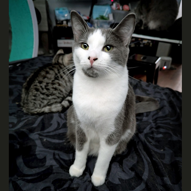 Photo of Buster