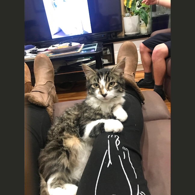 Photo of Cuddles And Sweetness