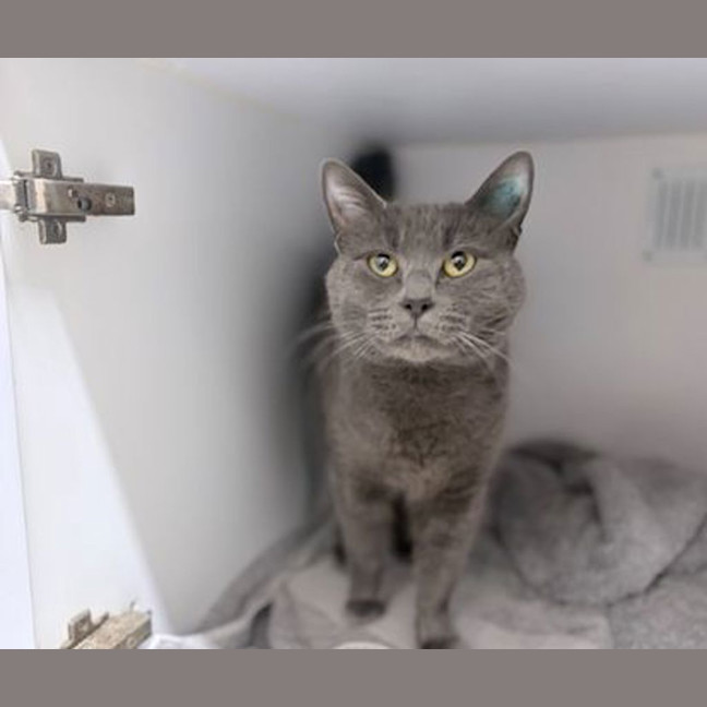 Photo of Charlie