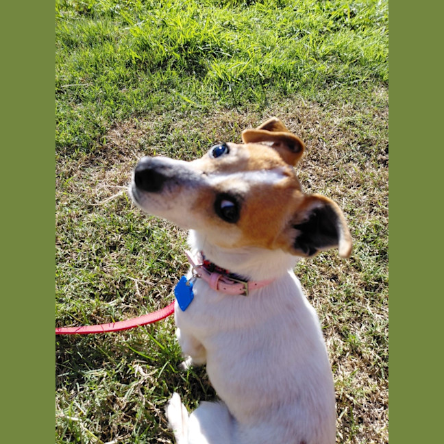 Photo of Dora