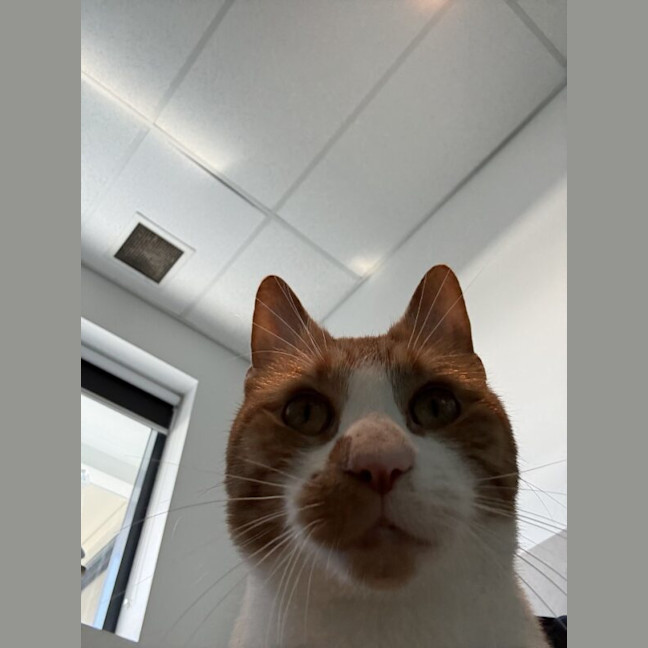 Photo of Owen