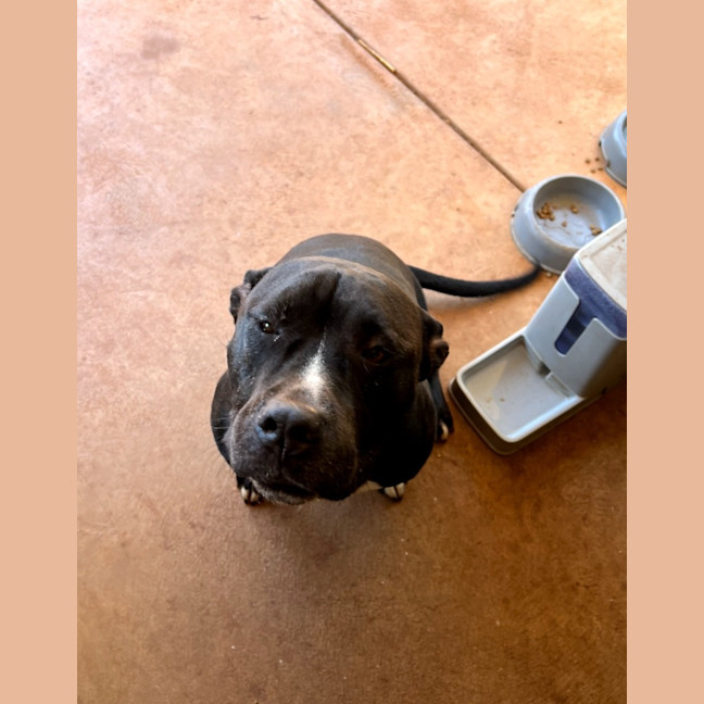 Photo of Oodie (Muggsy)