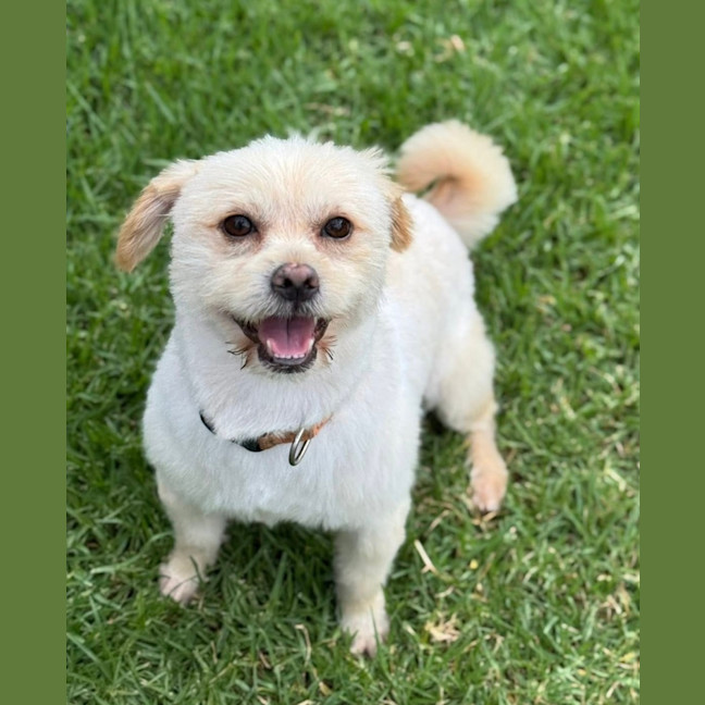 Photo of Krispy Kreme 