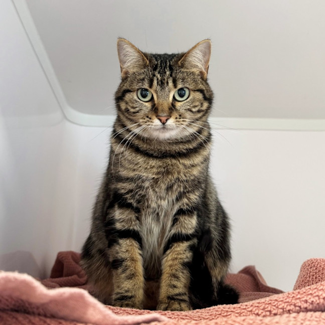 Photo of Tabitha Sta012520