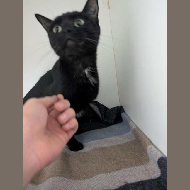 Photo of Spooki