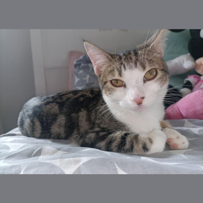 Photo of Everhart & Fairlight