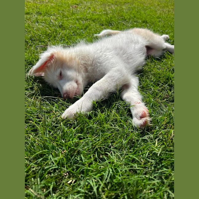 Photo of Tilly