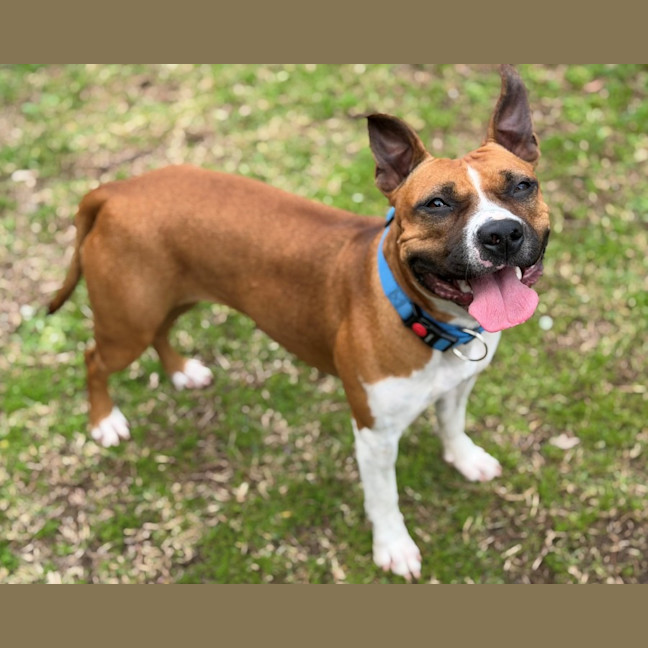 Photo of Bingo