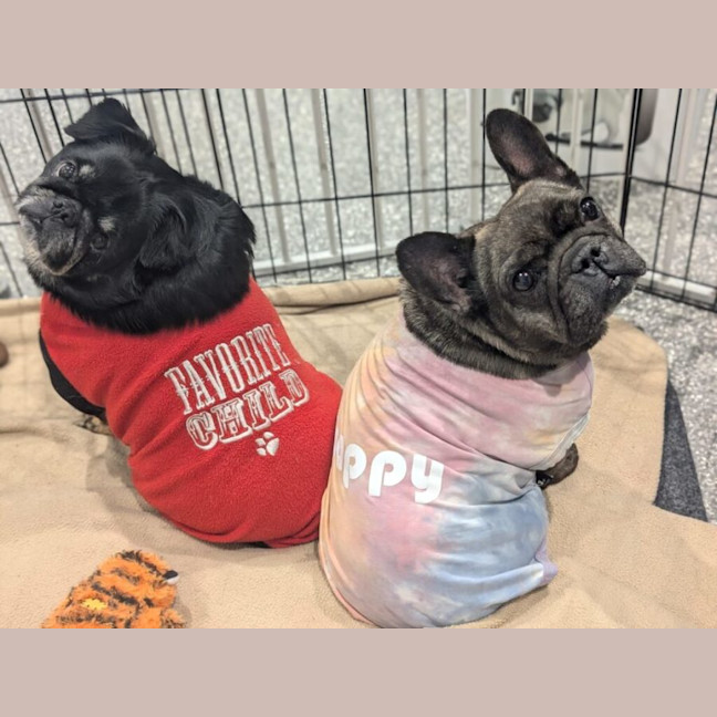 Photo of Maggie And Mr Wiggles