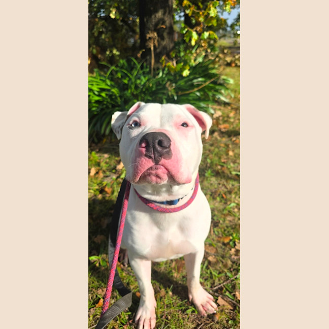 Photo of Bingo
