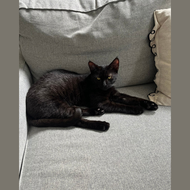 Photo of Vader