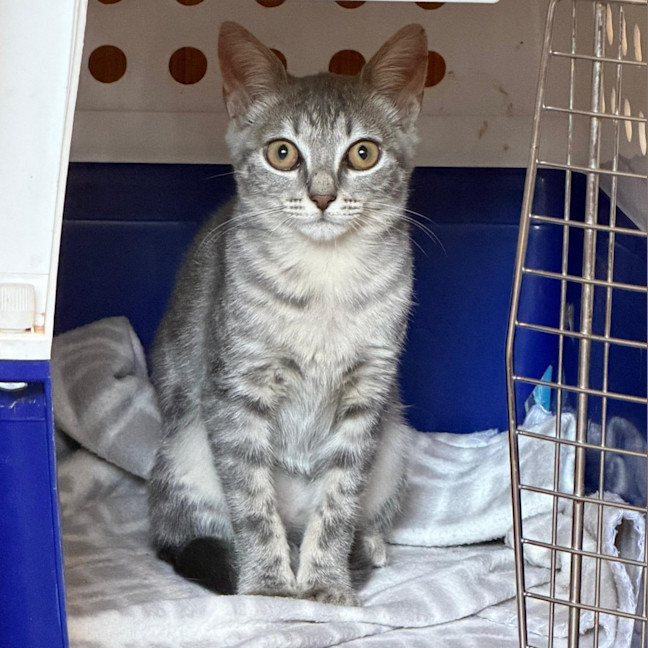 Photo of Hazel