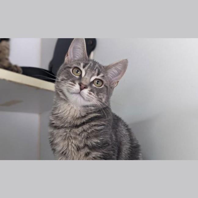Photo of Luella