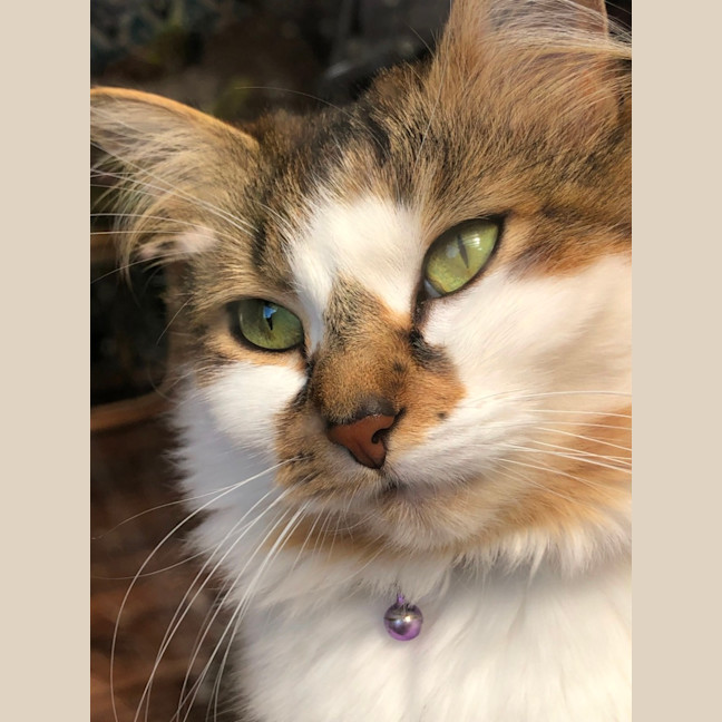 Photo of Hazel