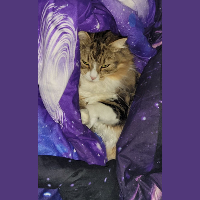 Photo of Princess Wynter