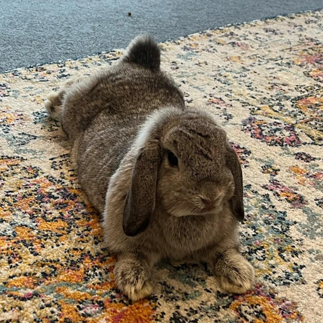 Photo of Smudge With Sooty