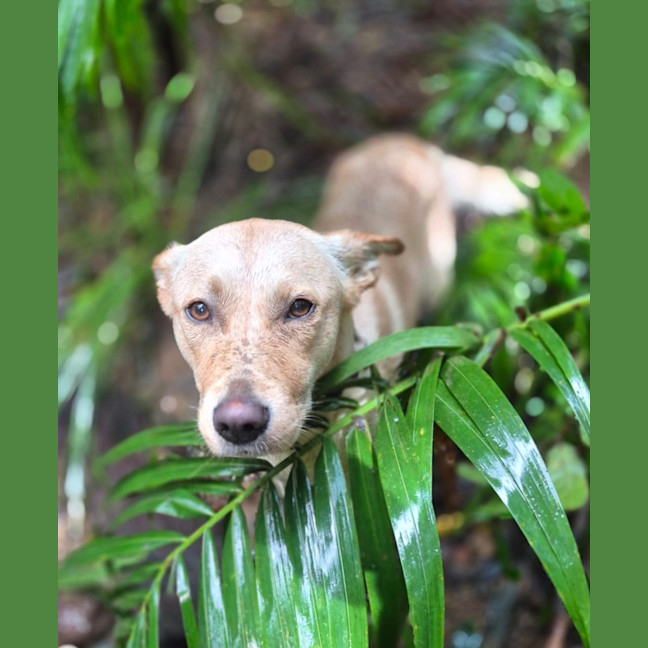 Photo of Marley 