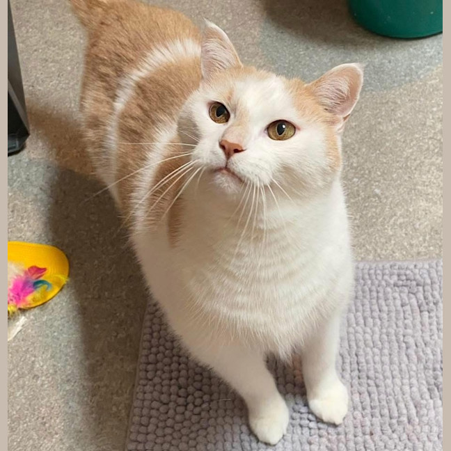 Photo of 10541   Lenny