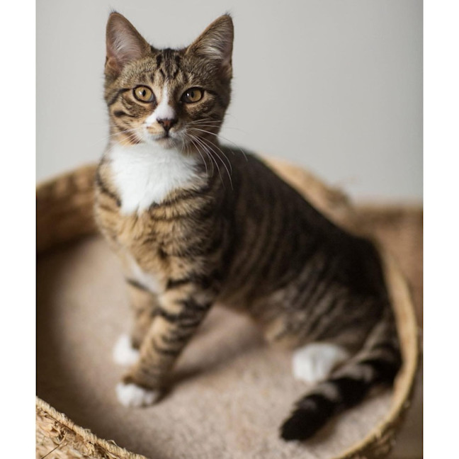 Photo of 12316   Reefa