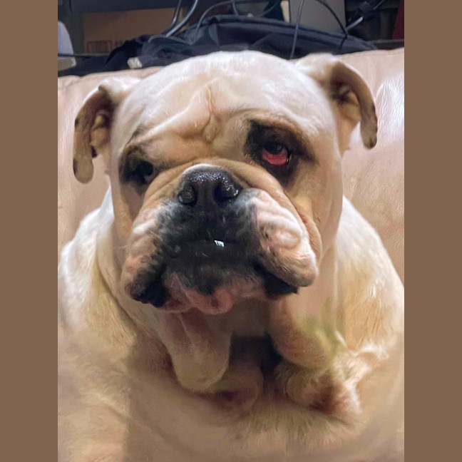 Photo of Bruce