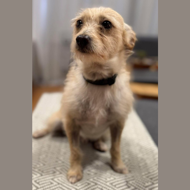 Photo of Baklava & Eclair 