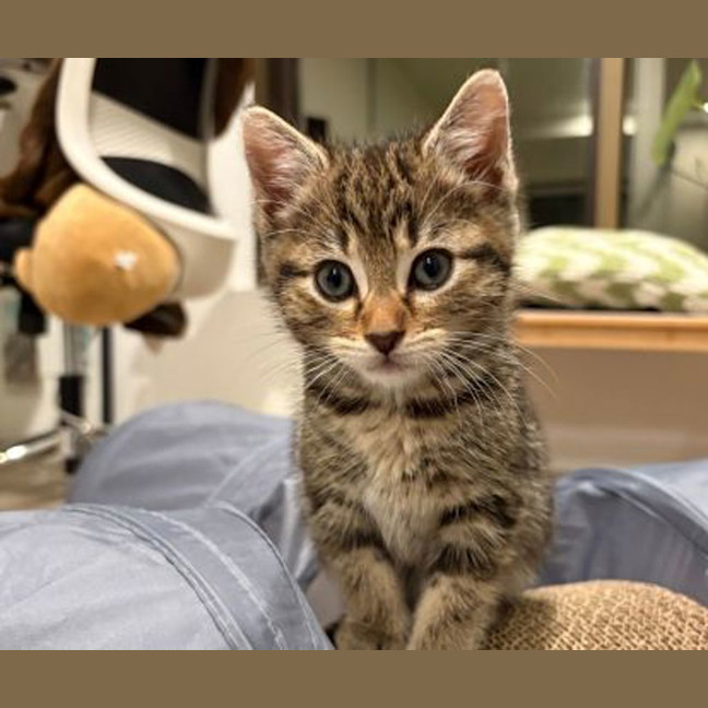 Photo of Cleo