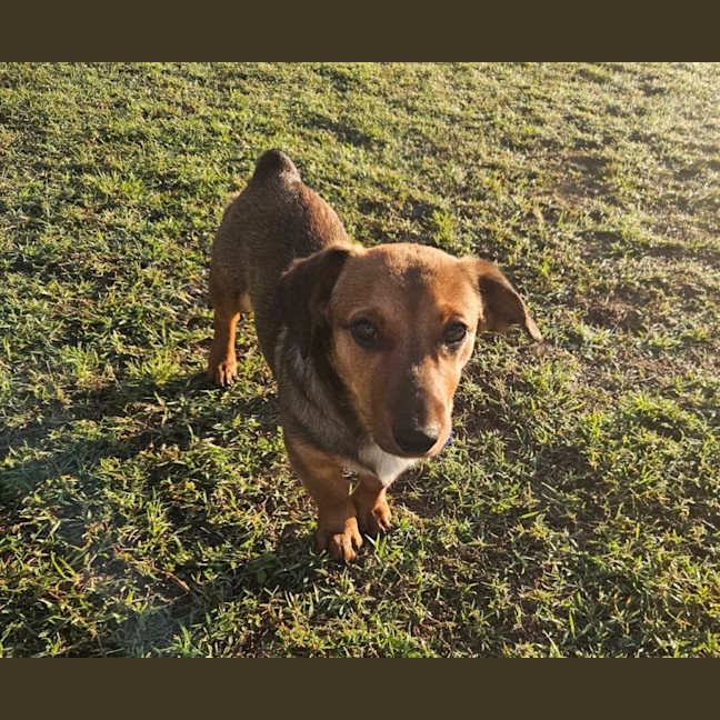 Photo of Elsa