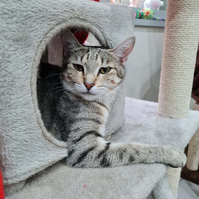 Photo of Nini