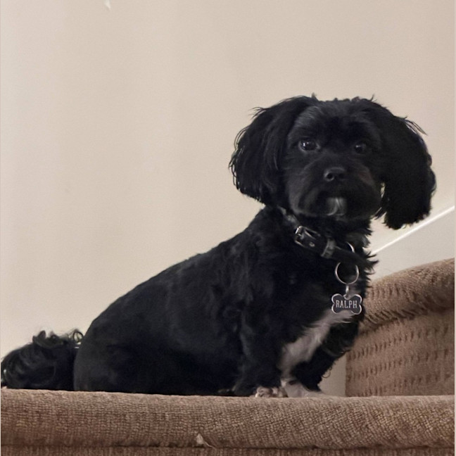 Photo of Ralph