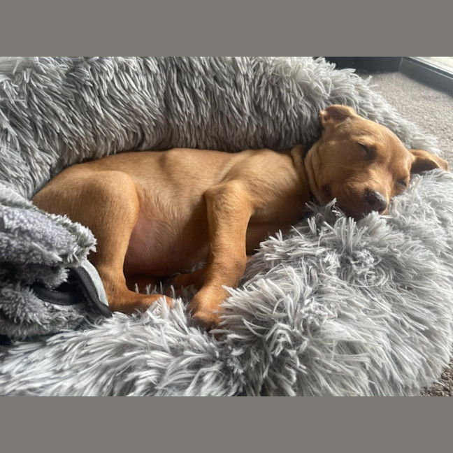 Photo of Murphy