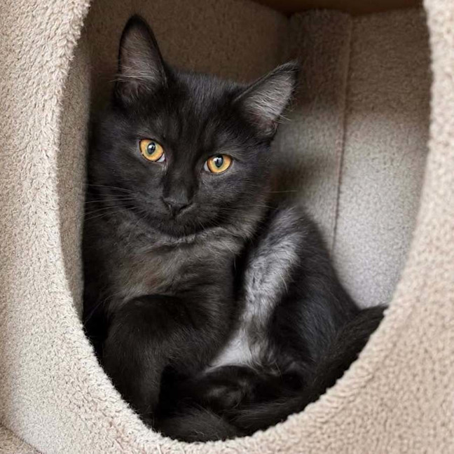 Photo of 13817   Edie