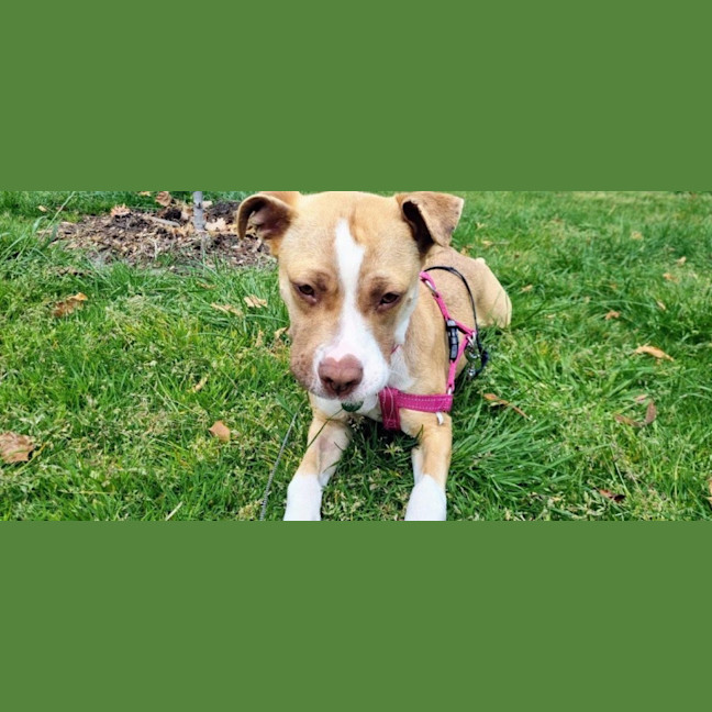 Photo of Ellie Valenti