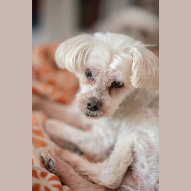 Photo of Wally And Ollie Peggotty