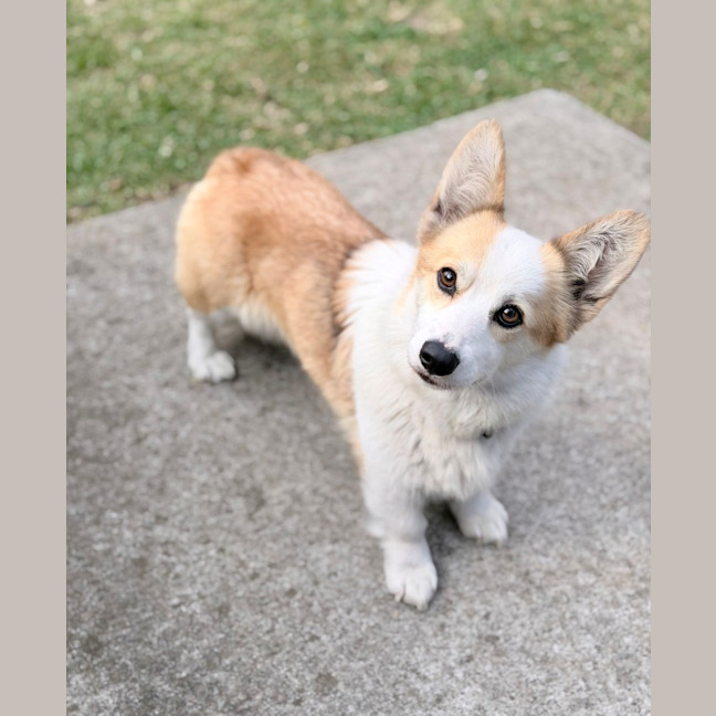 Photo of Lady 
