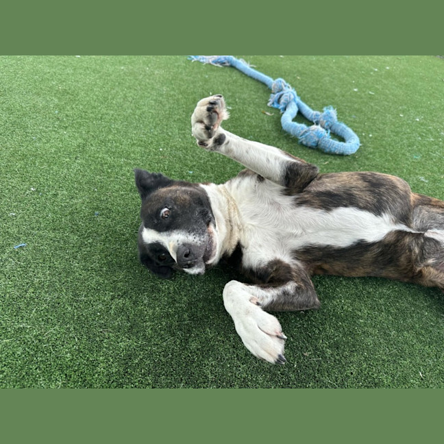 Photo of Rosie Imp 1897