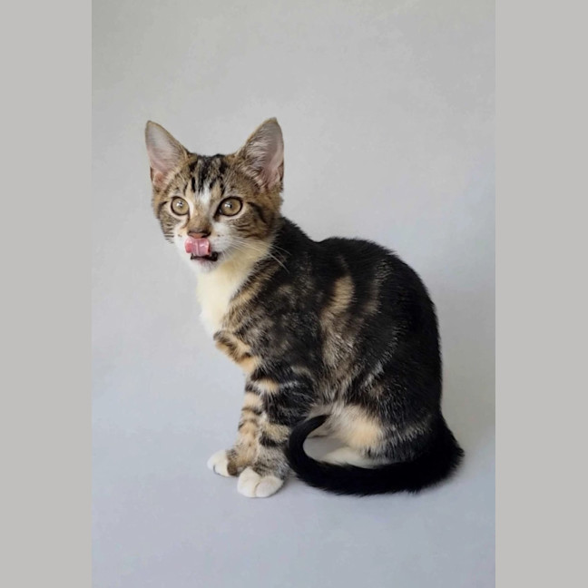 Photo of Elliette 