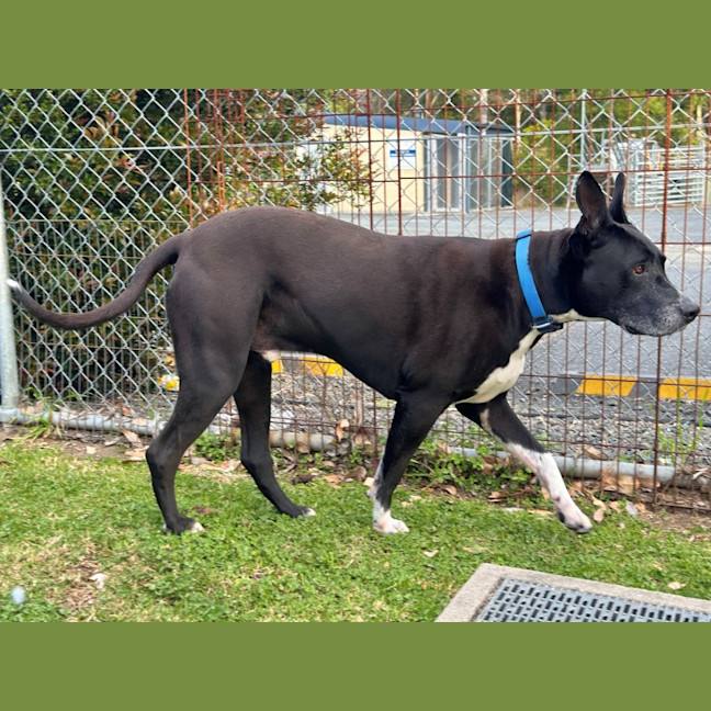Photo of Winston