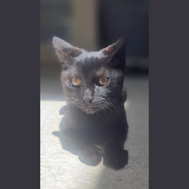 Photo of Francis (9188)