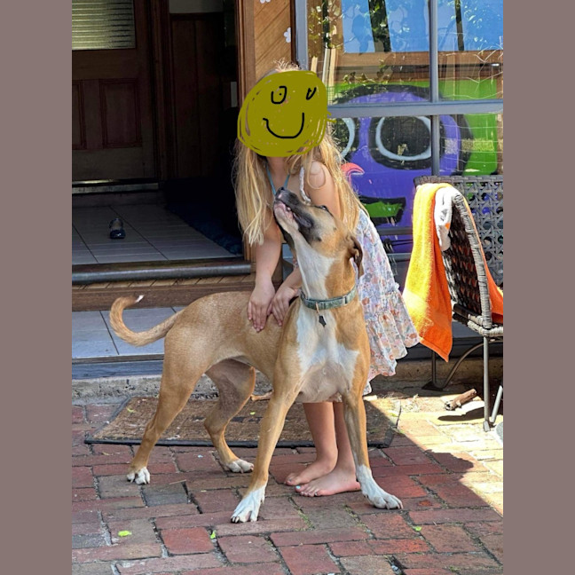 Photo of Piper