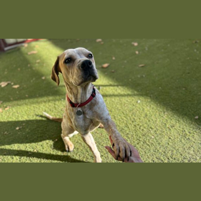 Photo of Darla