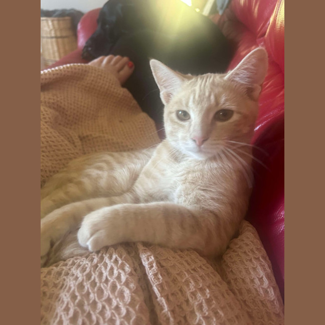 Photo of Jack & Jill 