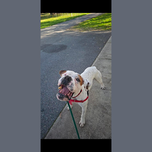 Photo of Rocket