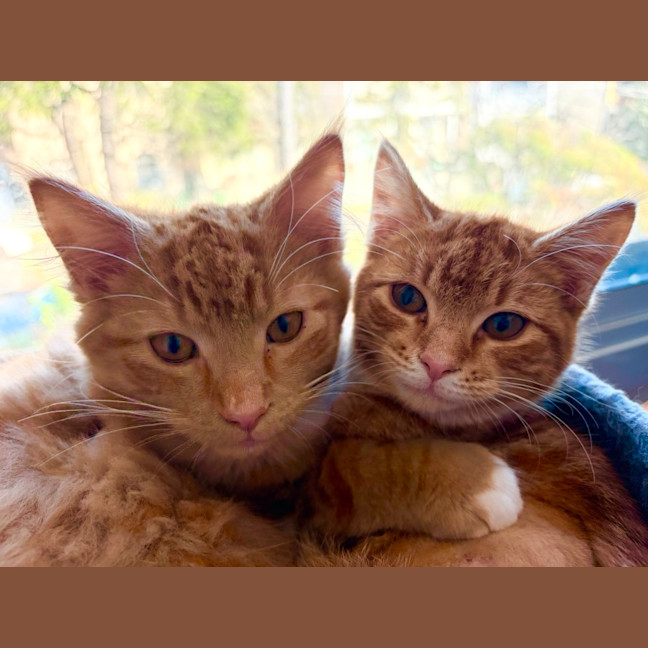 Photo of Flora And Sunny