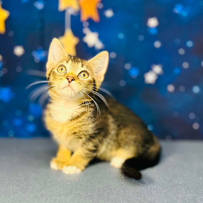 Photo of Bob   Located In Preston 