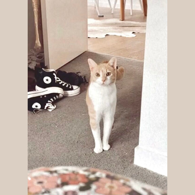 Photo of Moet And Jerry