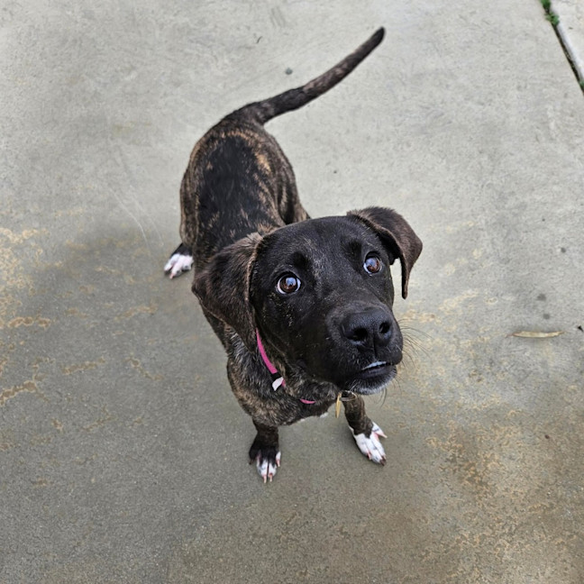 Photo of Xena