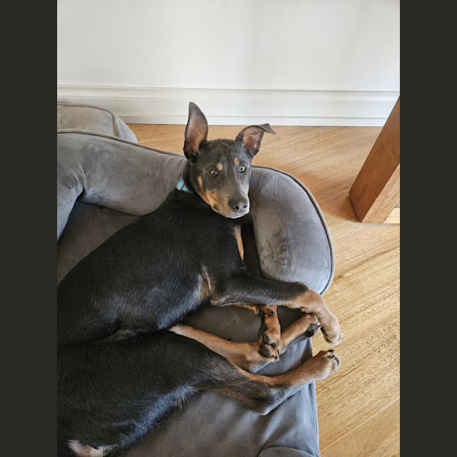 Photo of Urban
